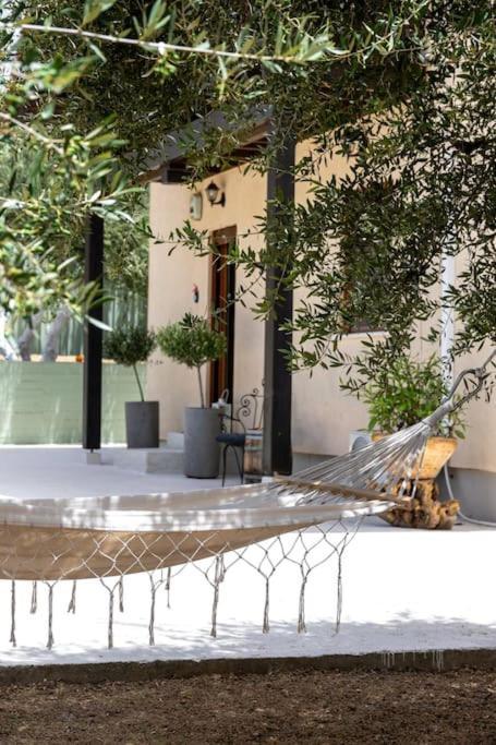 Olive Garden Villa Chania Hanya Dış mekan fotoğraf