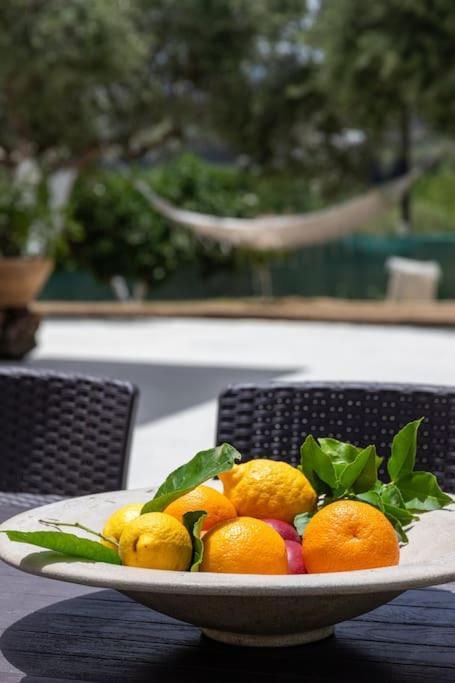 Olive Garden Villa Chania Hanya Dış mekan fotoğraf